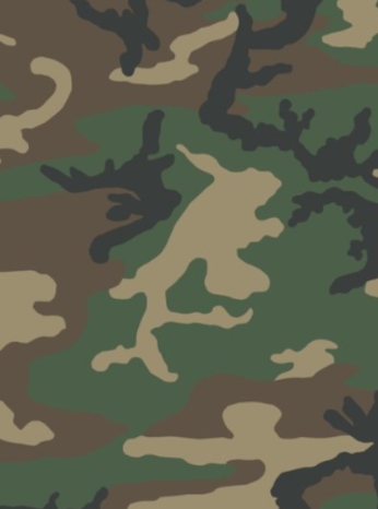 Originall US Arma Woodland Pattern